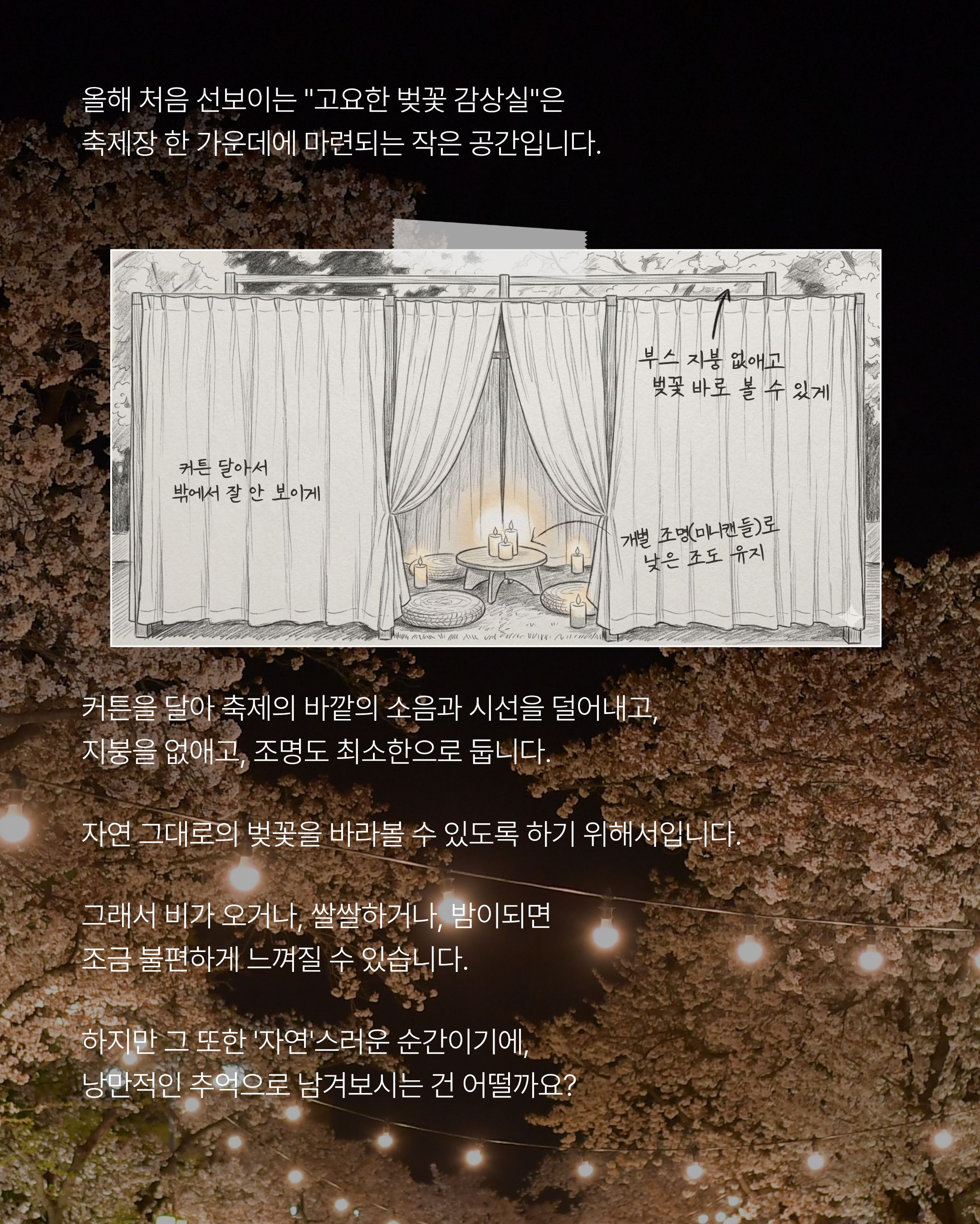 벚꽃감상실 3