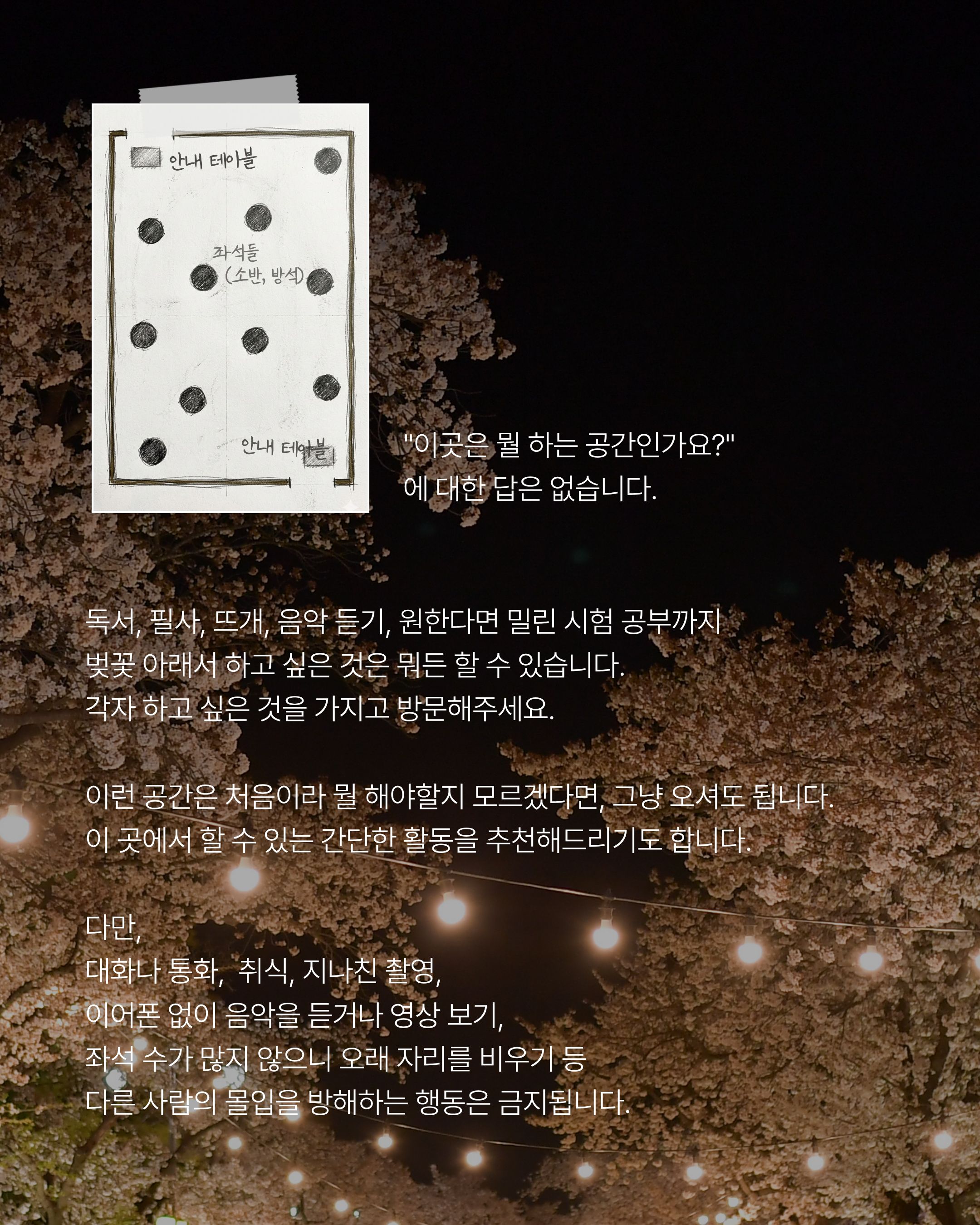 벚꽃감상실 4