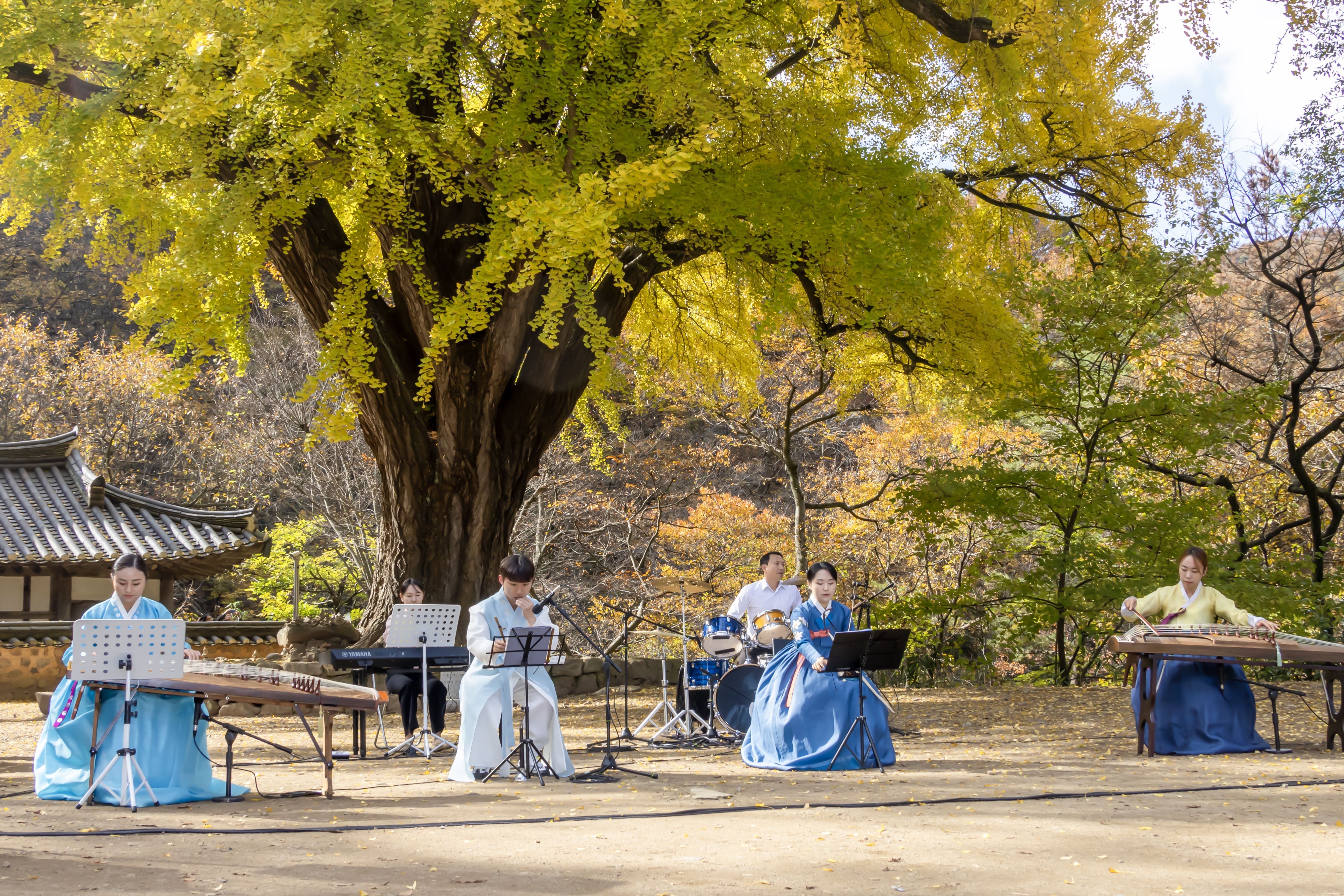 국악밴드새라온ㅣ계림국악예술원ㅣ전통연희단잽이ㅣ현무용단