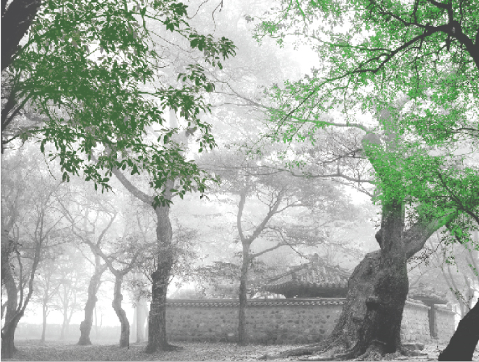 김태곤 큐레이터의< 예술로 본 계림 숲 > 특강